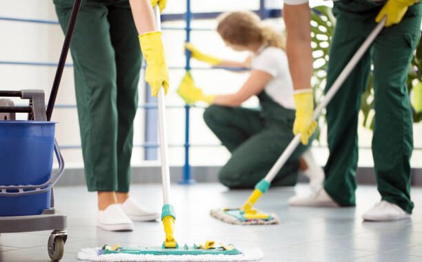 House and Office Cleaner Job